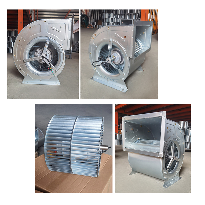 1683763797208656.jpg zhu2.jpg