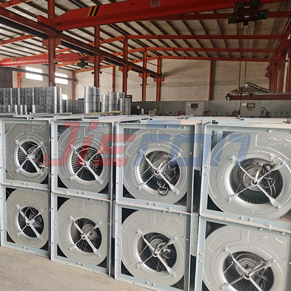 1687739298803167.jpg 1256.jpg